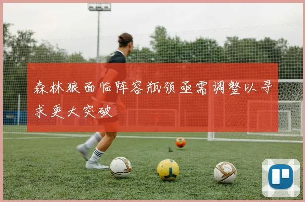 森林狼面临阵容瓶颈亟需调整以寻求更大突破
