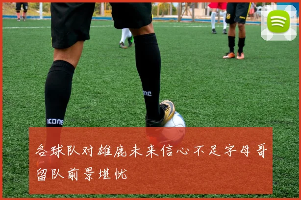 各球队对雄鹿未来信心不足字母哥留队前景堪忧